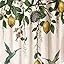 Farmhouse Lemon