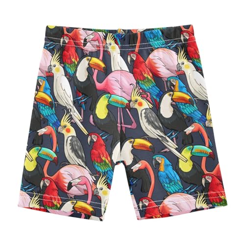 JHKKU Girls Colorful Exotic Birds Shorts Cotton Cartwheel Bike Kids Biker Under Dress Dance Short Girl Clothes 8Y