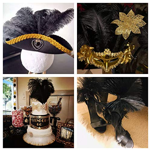 Black Ostrich Feathers (10-12 inch) - Image 6