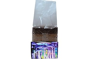 Jumbo 6 Pound Magic Mushroom Growing Kit for Indoor Plants