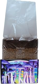 Jumbo 6 Pound Magic All in One Mushroom Grow Bag