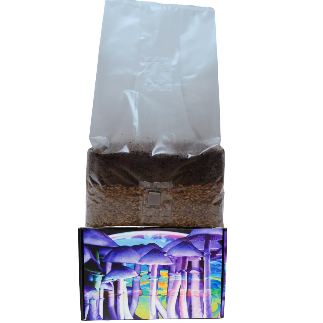 Jumbo 6 Pound Magic All in One Mushroom Grow Bag
