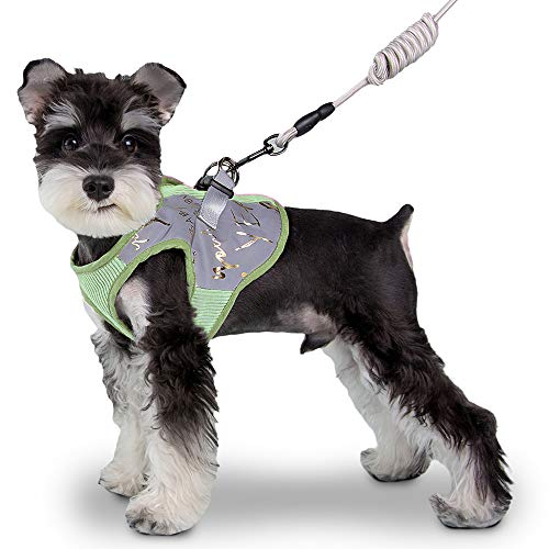 Pet Soft Warm Cat Harness Large, Adjustable Cat Dog Vest Harness and Leash for Walking Escape Proof, Reflective Soft Kitten Harness for Small Medium Puppies