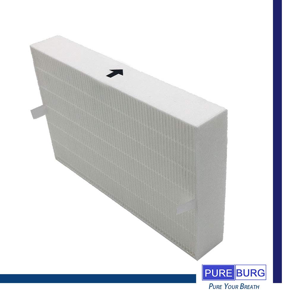 Pureburg 2 unidades de repuesto HEPA + 4 filtros de carbono para Honeywell HRF-R1 HRF-AP1 para purificadores de aire HPA090 HPA094 HPA100 HPA104 HPA105 HPA106 y más