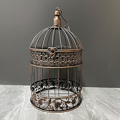 Round Birdcages Vintage Decorative Iron Bird cage Wedding Decor Flower cage Decor Props Bird cage Hanging Flower Frame Bird cage decorCenterpieces Small Birds Wedding Party Indoor Ourdoor Decoration