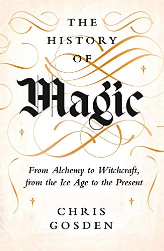 Télécharger The History of Magic: From Alchemy to Witchcraft, from the Ice Age to the Present PDF