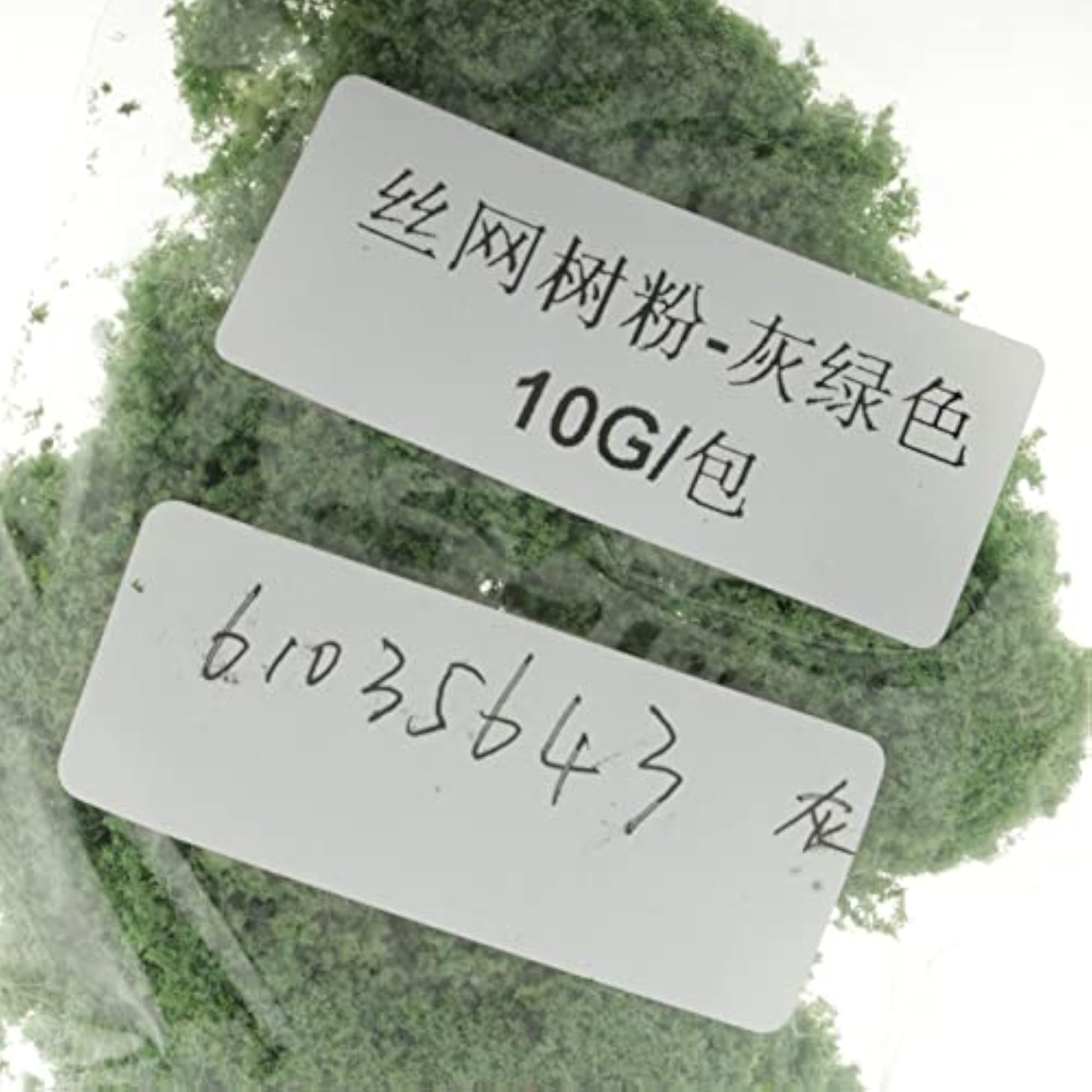 Light Green Grass Garden Decor for Micro Landscape