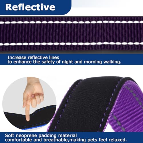 Weiches Neopren-Hundehalsband mit Polsterung & personalisiertes Nylon-Haustierhalsband mit Quick-Release-Schnalle und individueller Stickerei für Name und Telefonnummer, Türkis