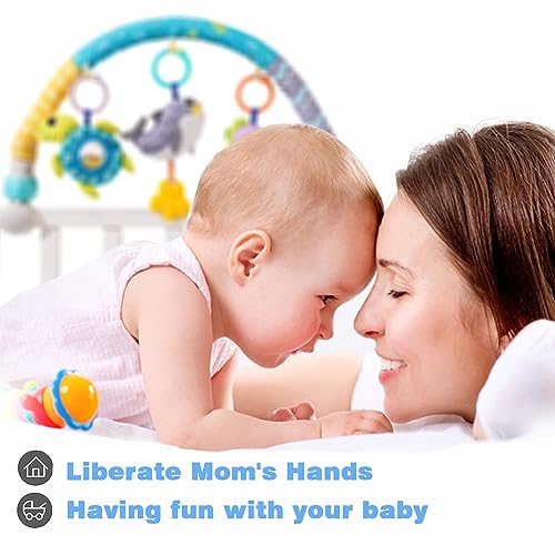 Image of Pau1Hami1ton Car Seat Toys, Stroller Toys,Car Seat Toys for Babies 0-6 Months,3 Month Baby Toys Fit for Crib Bed,Stroller,Car Seat,Baby Gifts.S-19(Whale)