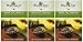 Mighty Leaf Green Tea, Tropical, 15 Pouches (Pack of 3)