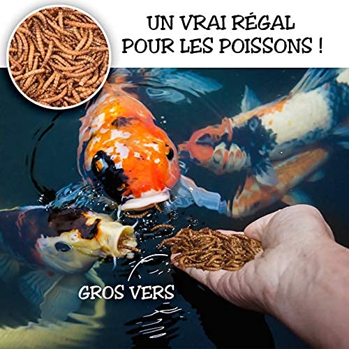 Detox Organica-vers de Farine Séchés - 1kg Correspond à 6500ml, Friandises pour Oiseaux, Poissons, Tortues, Hérissons, Rongeurs et Reptiles – Image 3