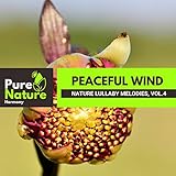 Pure Nature Harmony
