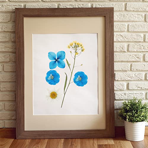 Flores Secas Naturales para Artesanía y Decoración miniatura 2