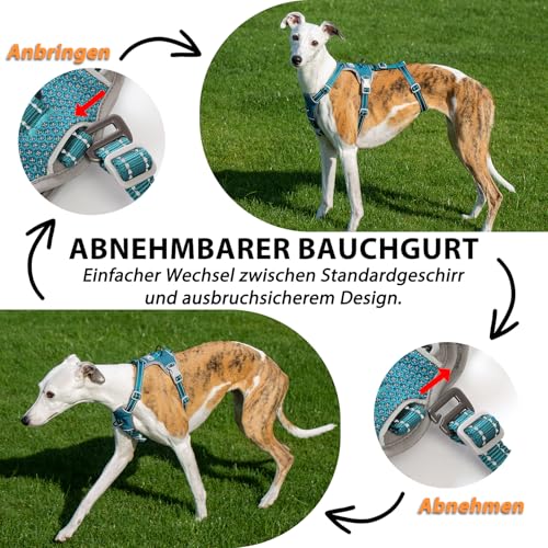 Huntboo Sicherheitsgeschirr Hund Ausbruchsicher, Panikgeschirr für Hunde, Anti Zug Hundegeschirr, Reflektierend, Verstellbare, Leichte Weste für kleine, mittelgroße und große Haustiere (Blau,M)