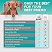 PREMIUM CARE Calming Chews for Dogs, Made in USA - Helps with Dog Anxiety, Separation, Barking, Stress Relief, Thunderstorms and More, 9.3 oz (264g), 120 Count
