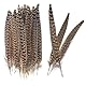 Lowats Fasan Federn 20 Stück Fasan Schwanzfedern Natural Craft Feather Natur Dekoration Hahnfeder Natürliche Hahnenfedern Fasanenfedern ​Basteln Federn 25-30cm für Basteln Zuhause Dekor