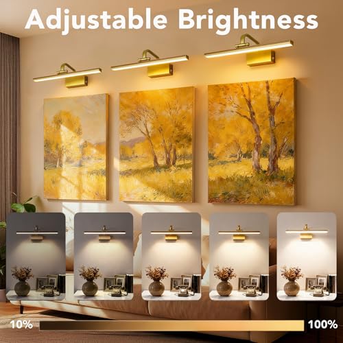Image of RAIFOOLLY Picture Light, 16inch Cordless Picture Lights for Wall with Timer and Dimmable, Battery Operated Metal Wall Lights for Display Gallery Painting Art Frame Portrait - Gold