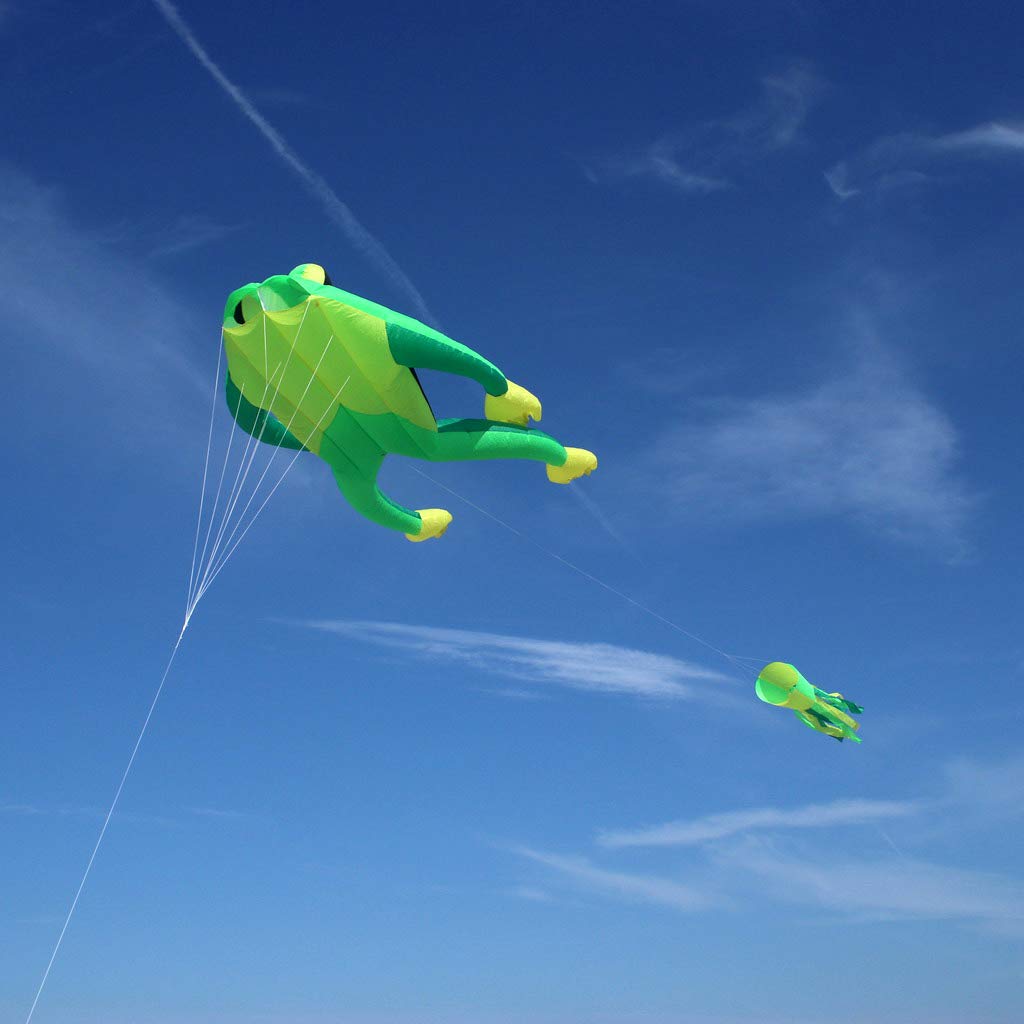 Wolkenstürmer Fritz The Frog Cometa Simple Línea sin Perchas