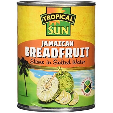 Tropical Sun Breadfruit 540g (Pack of 6) Cover