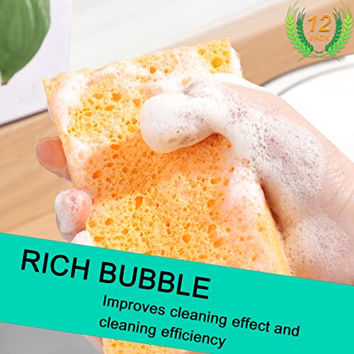 Image of 12-Count Extra Large Compressed Sponges Kitchen for Dishes, Sponges for Cleaning, Biodegradable Cellulose Compressed Sponges for Kitchen, Bathroom, Camper, Backpacker