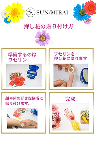 最安値 押し花 乾燥シート ドライフラワー 手芸 キット 4色からお選びください ブリザードフラワー バーミックス セット ドライ葉 乾燥花 化粧 カード造り Diy Sun Mirai レッド の価格比較 最安値 押し花 乾燥シート ドライフラワー 手芸 キット 4色からお選びください ブリザードフラワー バーミックス セット ドライ葉 乾燥花 化粧 カード造り Diy Sun Mirai レッド の価格比較