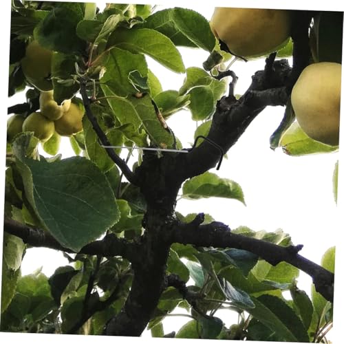 Separadores de ramas para árboles frutales 20 piezas miniatura 5