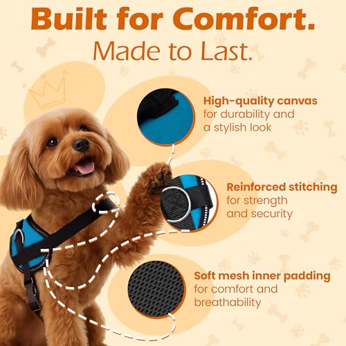 Bark Appeal Aqua Blue No-Pull Dog Harness for Extra Small Sized Pets – Adjustable, Reflective Vest with 3 Leash Clips for Added Control, Easy Walks & Training – XS by Bark Appeal - Image 3