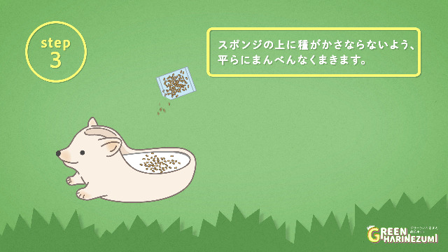 ハリネズミスターターセット 楽天市場】三晃商会 ハリネズミの基本飼育セット お一人様1点