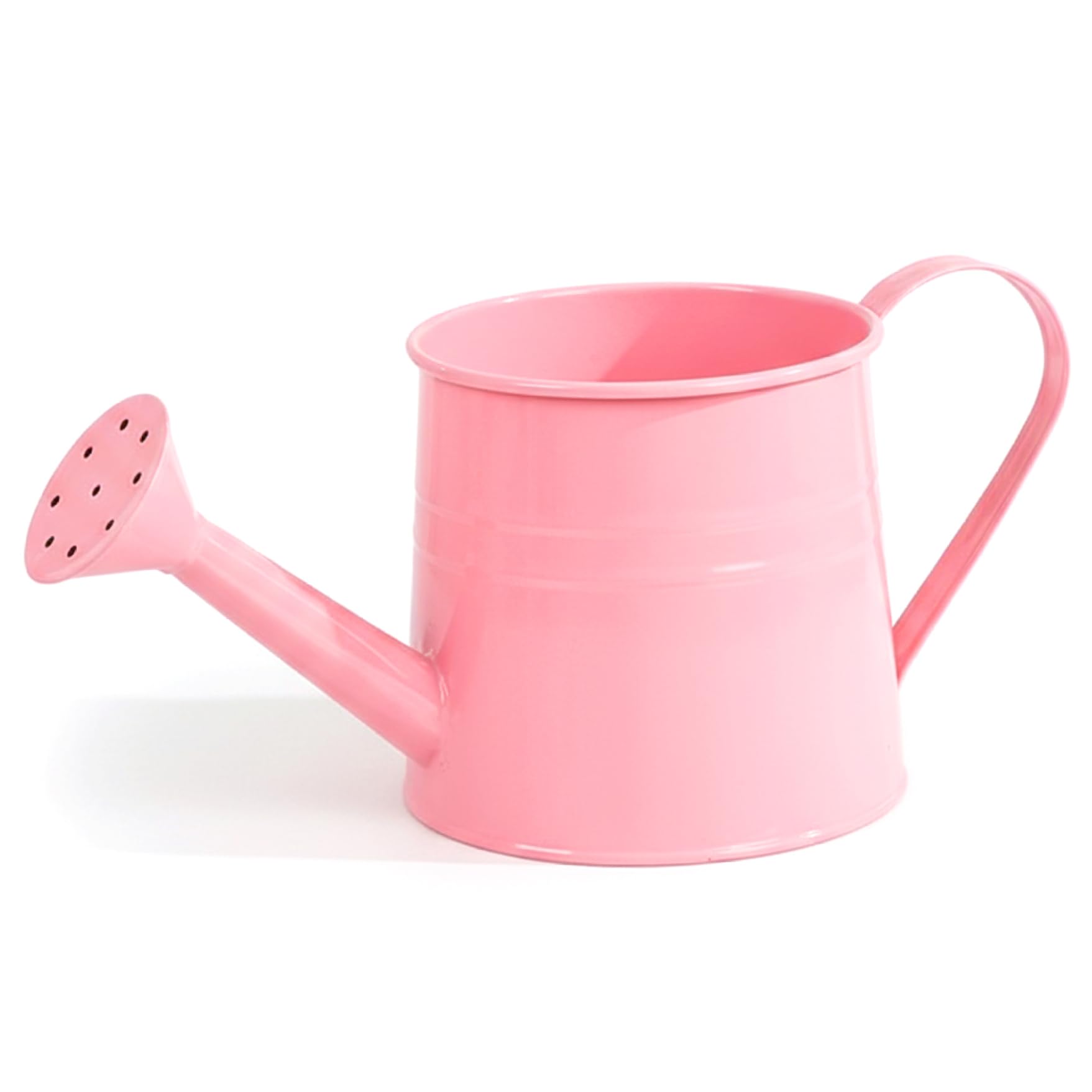 Pot de fleurs décoratif et arrosoir pour plantes en fer rétro