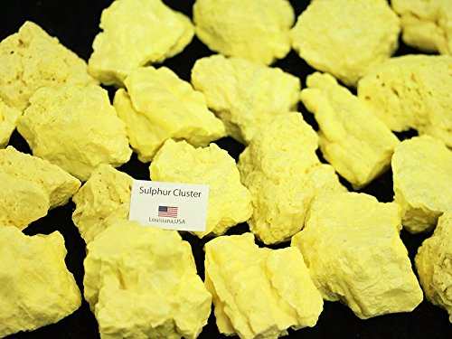 Amazon.co.jp: 【天然石の島田商事】USAルイジアナ州産 天然