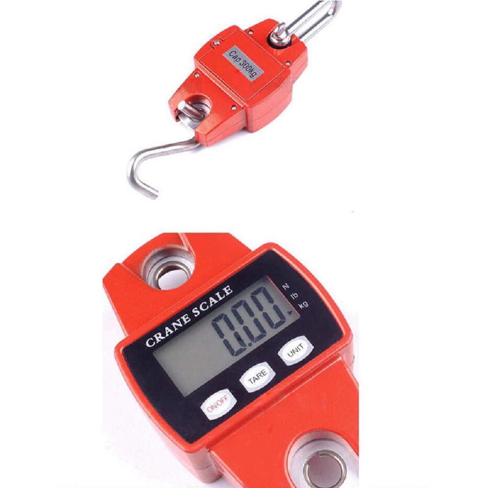 Dynamomètre professionnel numérique 300KG/100g avec affichage LCD