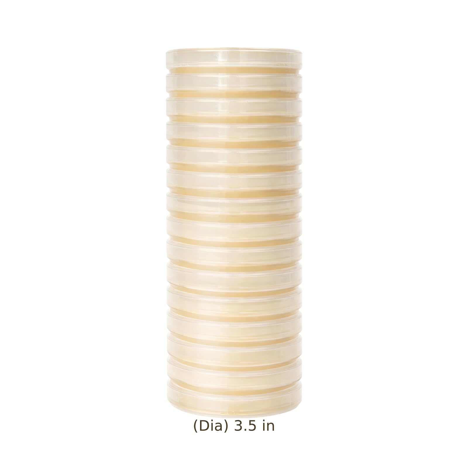 15 Stk. gelbe Nähragarplatten, vorgegossen, 3,5 in / 9 cm Petrischalen für Zellkultur, Luftmikroorganismen, Pilztest, Oberflächen, sofort einsatzbereit für Labor und Experimente