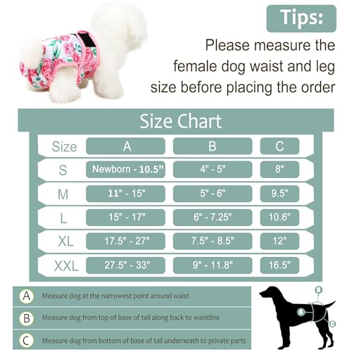 Image of Washable Female Dog Diapers - Premium Reusable Diapers for Doggie in Heat - Highly Absorbent Dog Diapers Female for Pet Incontinence with Adjustable Snaps Sunflower, M