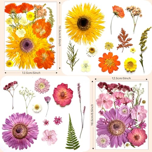 98 piezas flores secas prensadas grandes para resina miniatura 4
