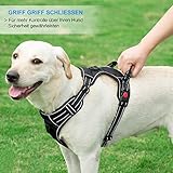 haapaw Hundegeschirr ohne Zug, einstellbar, reflektierend, Oxford, einfache Kontrolle, mittelgroßes Hundegeschirr mit kostenloser, strapazierfähiger Hundeleine