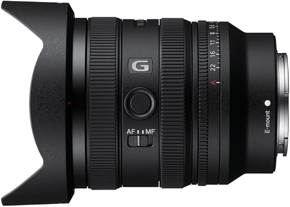 Sony FE 16-25mm f/2.8 G Lens