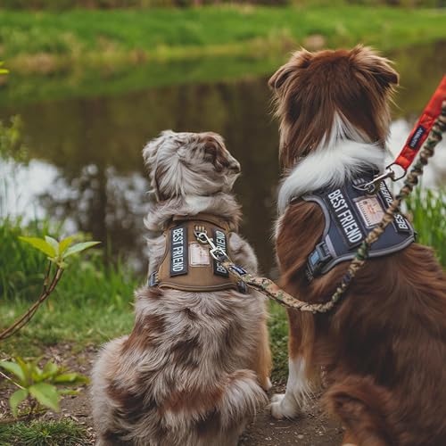 AUROTH Tactical Dog Harness for Small Medium Dogs No Pull Adjustable Pet Harness Reflective K9 Working Training Easy Control Pet Vest Military Service Dog Harnesses Desert Camo M - Image 7