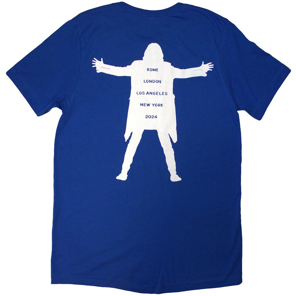 Rock Off officially licensed products David Gilmour Luck & Strange Logo T Shirt XL Blue