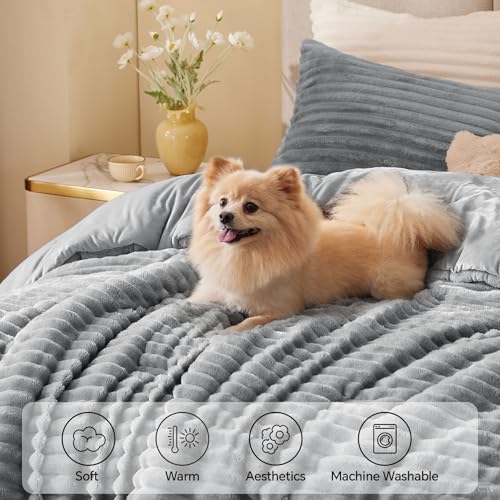 BEDELITE Fleece Queen Comforter Set -Super Soft & Warm Fluffy Light Grey Bedding, Luxury Fuzzy Heavy Bed Set for Winter with 2 Pillow Cases