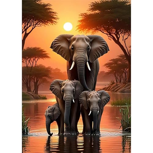 TOSTOG Diamond Painting Kits for Adults,Full Drill 5D DIY Elephant Diamond Art Kit Diamond Crystal Rhinestone Arts and Crafts Picture for Home Wall Decor 30x40cm
