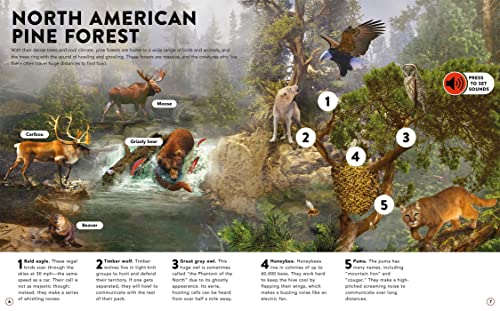 The Animal Kingdom: with 50 Incredible Sounds! - Image 3