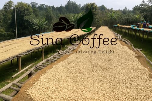Café SINA COFFEE Premium 100% Arábica en Grano 12 oz miniatura 6