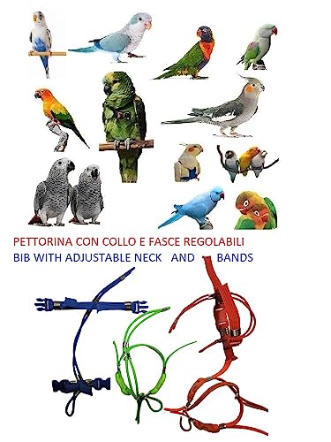 Arnés para loros sin escapes: cuerda elástica de 3 mm para Lori Arcobaleno 7