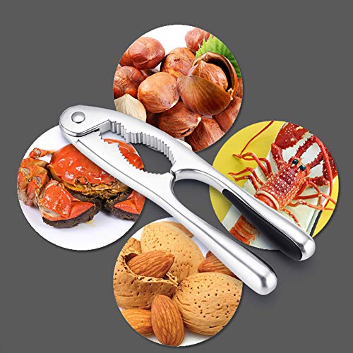 Schiaccianoci jingming Nocciola, pinze per