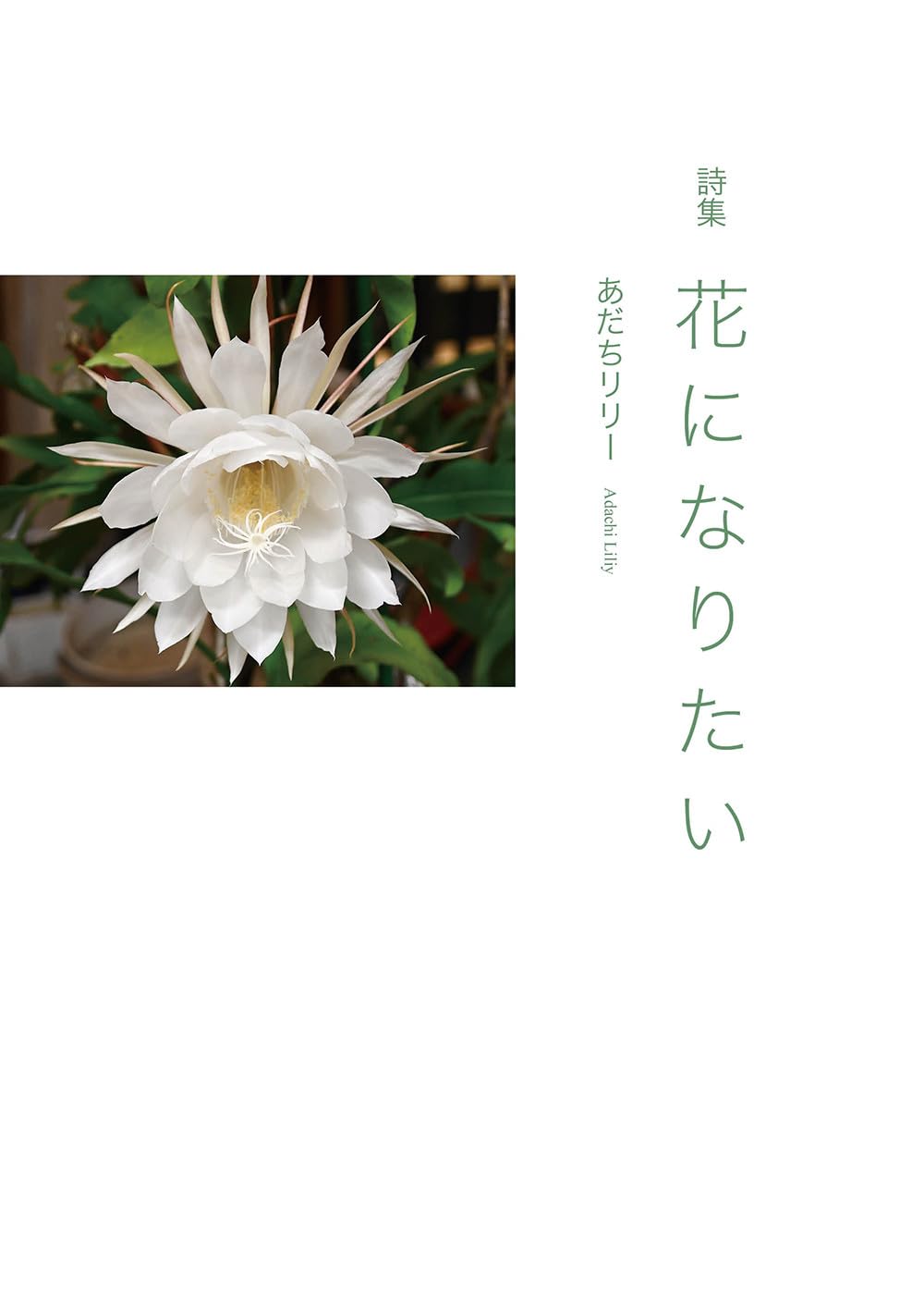 詩集 花になりたい | あだち リリー |本 | 通販 | Amazon