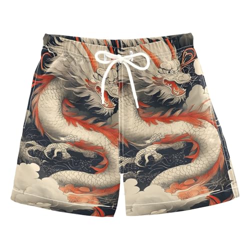 FLildon Cloudy Sky Dragon Little Boys Swim Trunks with Mesh Lining Quick Dry Beach Board Shorts, 3T