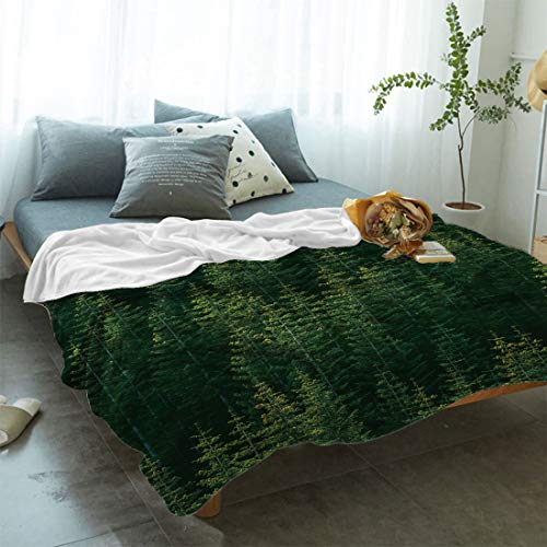 Applebless Fleece Throw Blanket Green Pine Trees Forest Breathable Cozy Warm Flannel Plush Blanket Nature Christmas Lightweight Fluffy Fuzzy Throw Blanket For Bed/Couch/Car (50 X 60 Inch) #TOP1