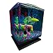 GloFish Betta Aquarium Kit 1.5 Gallons, Easy Setup and Maintenance, Perfect Starter Tank,Black/Clear