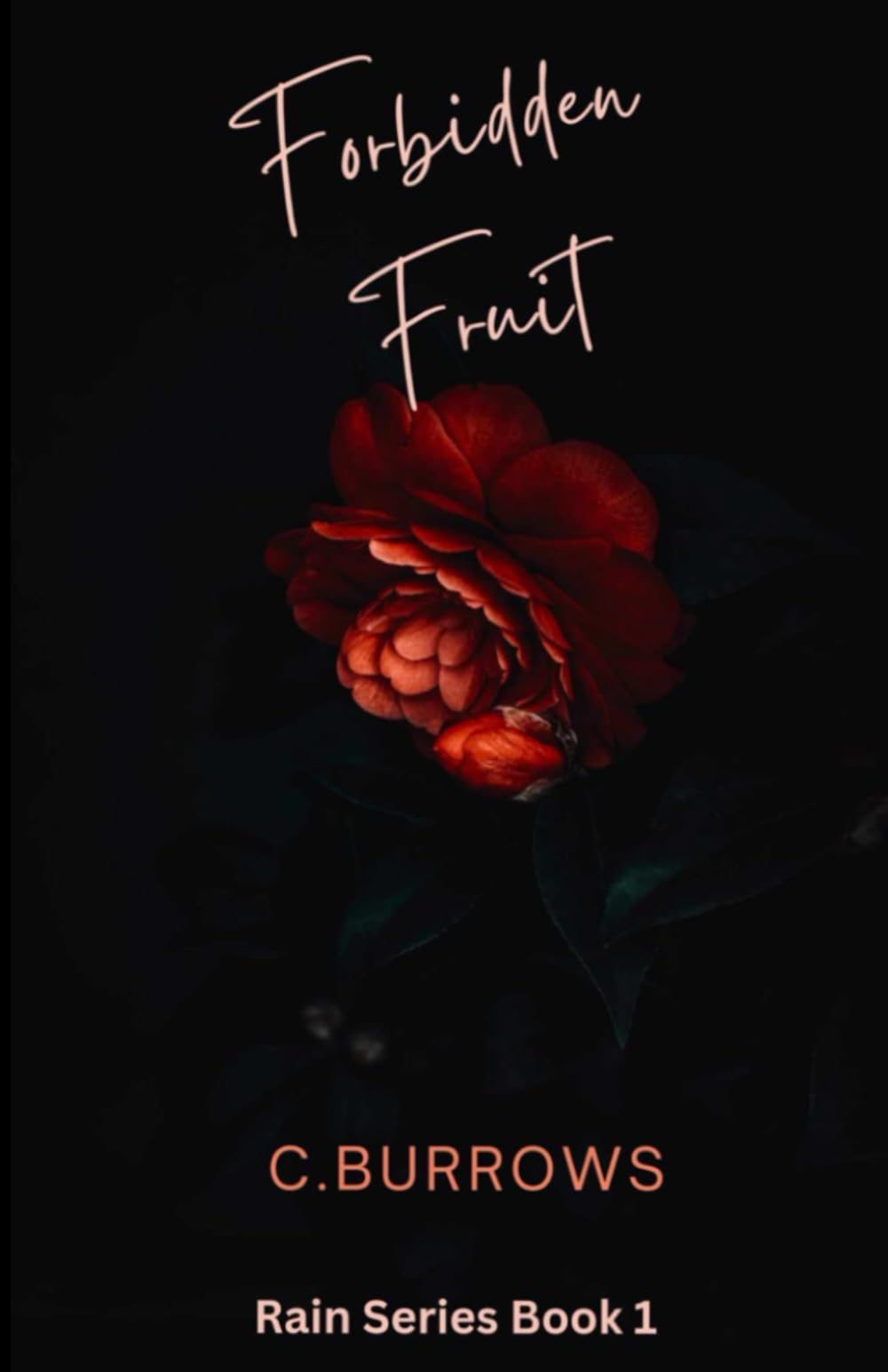 Forbidden Fruit: The Rain Series