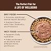 Wellness CORE+ Digestive Health Pate Adult Canned Wet Cat Food, Natural, Protein Rich, Grain Free, Chicken Recipe, 3 oz, Pack of 12 Cans